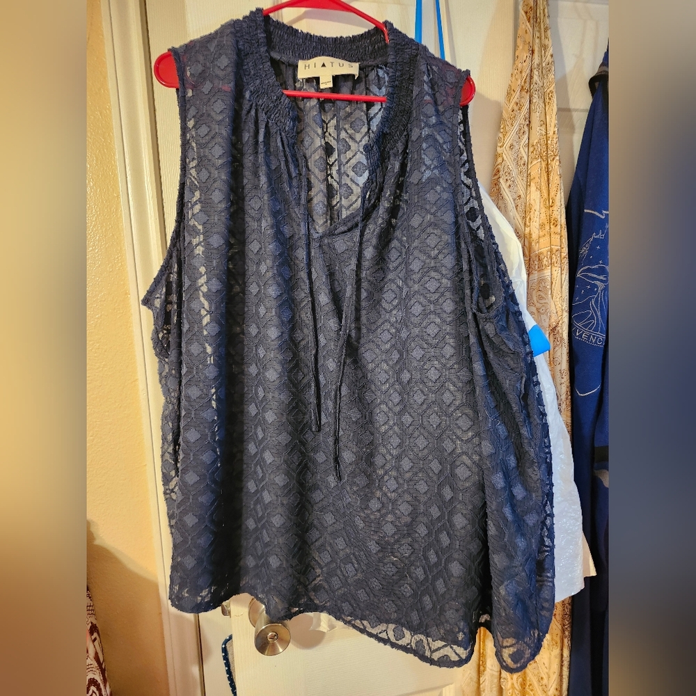 Dark blue see-through top.